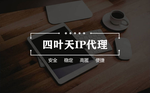 【广饶代理IP】如何快速搭建代理IP？怎么检查代理的效果？